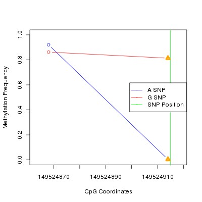Allele Specific Methylation Frequency Diagram for chr5 149524915 SNP.
