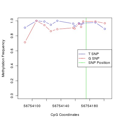 Allele Specific Methylation Frequency Diagram for chr5 56754175 SNP.