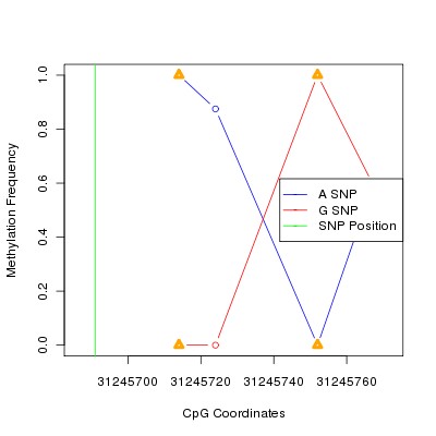 Allele Specific Methylation Frequency Diagram for chr6 31245691 SNP.