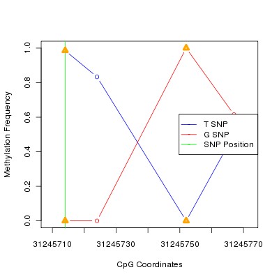Allele Specific Methylation Frequency Diagram for chr6 31245714 SNP.