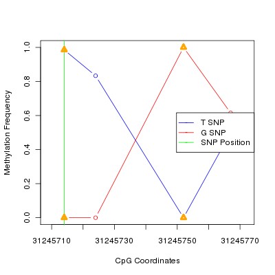 Allele Specific Methylation Frequency Diagram for chr6 31245714 SNP.