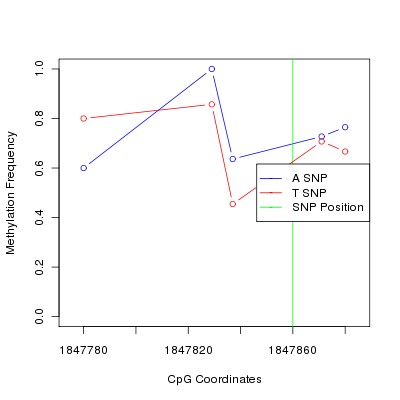 Allele Specific Methylation Frequency Diagram for chr11 1847860 SNP.