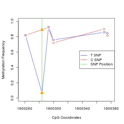 Allele Specific Methylation Frequency Diagram for chr11 1900284 SNP.