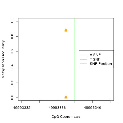 Allele Specific Methylation Frequency Diagram for chr11 49993338 SNP.