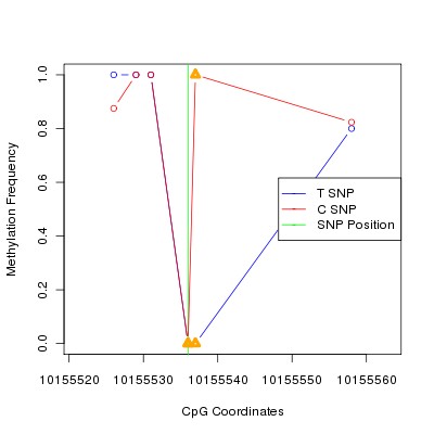 Allele Specific Methylation Frequency Diagram for chr12 10155536 SNP.