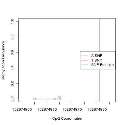 Allele Specific Methylation Frequency Diagram for chr12 102874981 SNP.