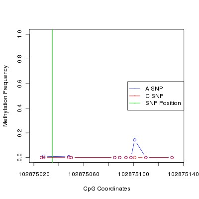 Allele Specific Methylation Frequency Diagram for chr12 102875035 SNP.