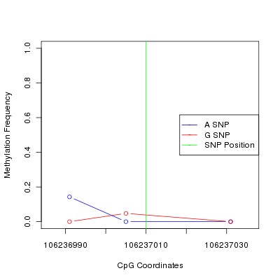 Allele Specific Methylation Frequency Diagram for chr12 106237010 SNP.