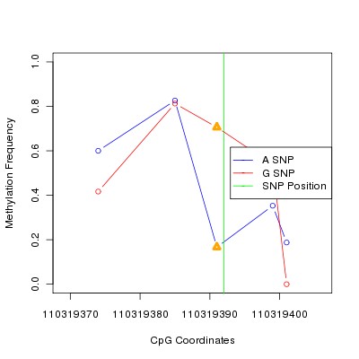 Allele Specific Methylation Frequency Diagram for chr12 110319392 SNP.