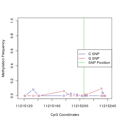 Allele Specific Methylation Frequency Diagram for chr12 11215206 SNP.