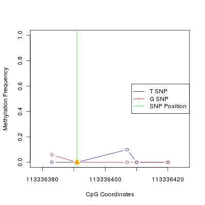 Allele Specific Methylation Frequency Diagram for chr12 113336391 SNP.