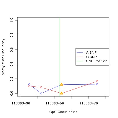 Allele Specific Methylation Frequency Diagram for chr12 113363453 SNP.