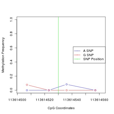 Allele Specific Methylation Frequency Diagram for chr12 113614530 SNP.