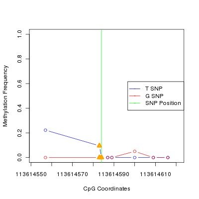 Allele Specific Methylation Frequency Diagram for chr12 113614584 SNP.