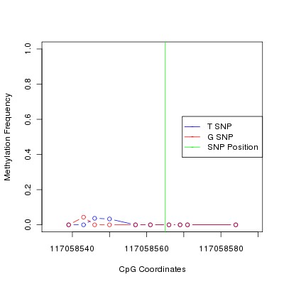 Allele Specific Methylation Frequency Diagram for chr12 117058565 SNP.