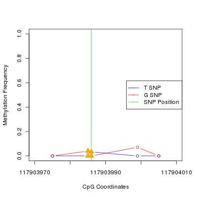 Allele Specific Methylation Frequency Diagram for chr12 117903986 SNP.