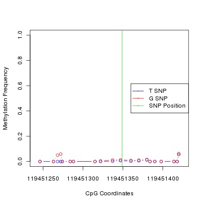 Allele Specific Methylation Frequency Diagram for chr12 119451349 SNP.