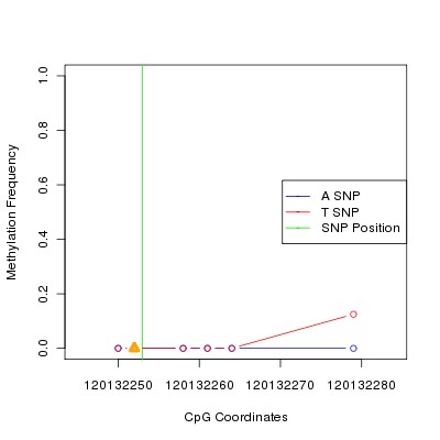 Allele Specific Methylation Frequency Diagram for chr12 120132253 SNP.