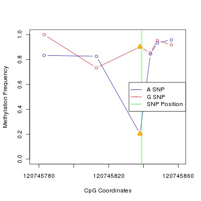 Allele Specific Methylation Frequency Diagram for chr12 120745839 SNP.