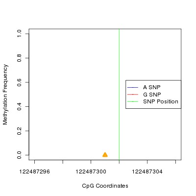 Allele Specific Methylation Frequency Diagram for chr12 122487302 SNP.