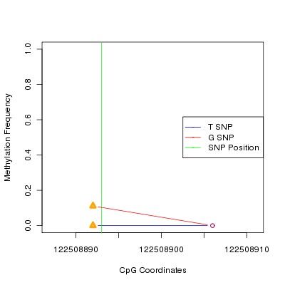 Allele Specific Methylation Frequency Diagram for chr12 122508893 SNP.