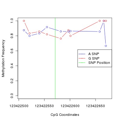 Allele Specific Methylation Frequency Diagram for chr12 123422571 SNP.