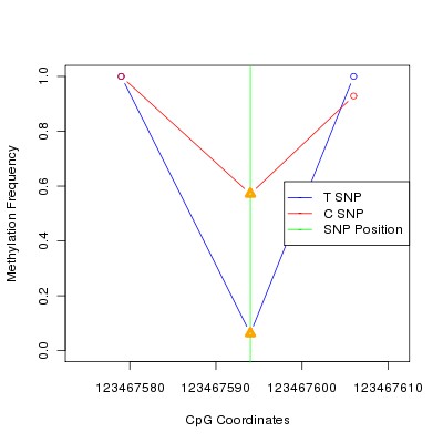 Allele Specific Methylation Frequency Diagram for chr12 123467594 SNP.