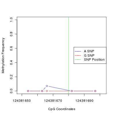 Allele Specific Methylation Frequency Diagram for chr12 124381680 SNP.