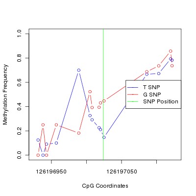 Allele Specific Methylation Frequency Diagram for chr12 126197024 SNP.