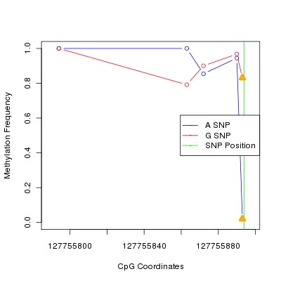 Allele Specific Methylation Frequency Diagram for chr12 127755894 SNP.