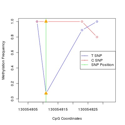Allele Specific Methylation Frequency Diagram for chr12 130054811 SNP.