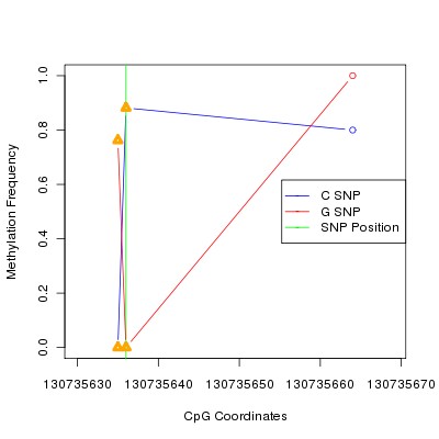 Allele Specific Methylation Frequency Diagram for chr12 130735636 SNP.