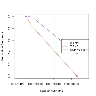 Allele Specific Methylation Frequency Diagram for chr12 130878441 SNP.