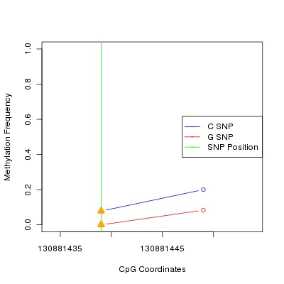 Allele Specific Methylation Frequency Diagram for chr12 130881439 SNP.