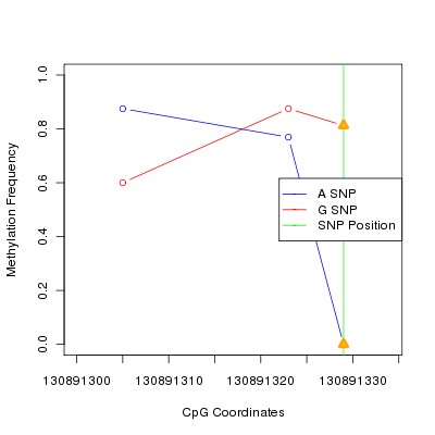 Allele Specific Methylation Frequency Diagram for chr12 130891329 SNP.