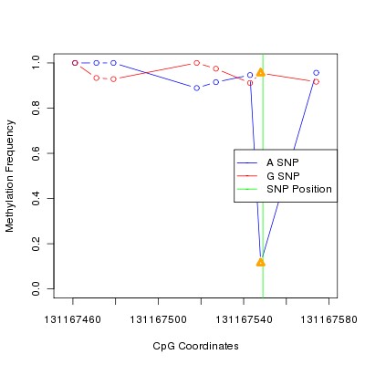 Allele Specific Methylation Frequency Diagram for chr12 131167549 SNP.