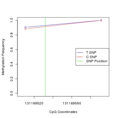 Allele Specific Methylation Frequency Diagram for chr12 131169532 SNP.