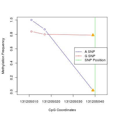 Allele Specific Methylation Frequency Diagram for chr12 131205040 SNP.