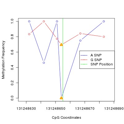 Allele Specific Methylation Frequency Diagram for chr12 131248655 SNP.