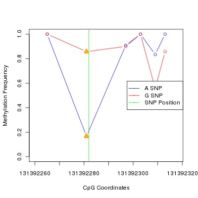 Allele Specific Methylation Frequency Diagram for chr12 131392282 SNP.