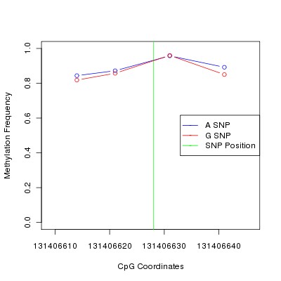 Allele Specific Methylation Frequency Diagram for chr12 131406628 SNP.