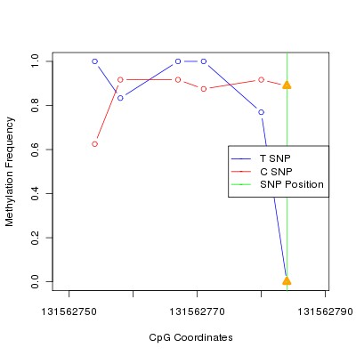 Allele Specific Methylation Frequency Diagram for chr12 131562784 SNP.