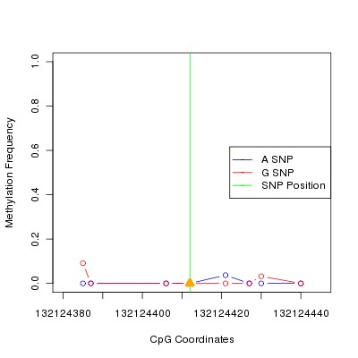Allele Specific Methylation Frequency Diagram for chr12 132124412 SNP.