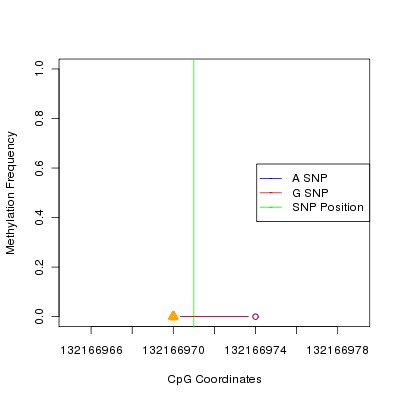 Allele Specific Methylation Frequency Diagram for chr12 132166971 SNP.