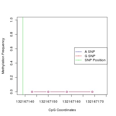 Allele Specific Methylation Frequency Diagram for chr12 132167139 SNP.