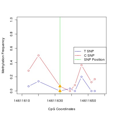 Allele Specific Methylation Frequency Diagram for chr12 14611633 SNP.