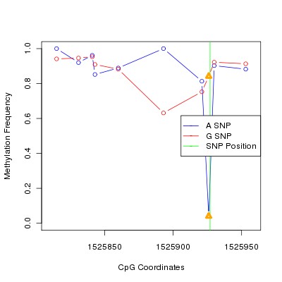 Allele Specific Methylation Frequency Diagram for chr12 1525927 SNP.