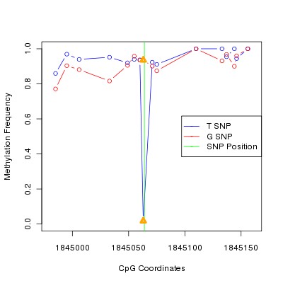 Allele Specific Methylation Frequency Diagram for chr12 1845064 SNP.