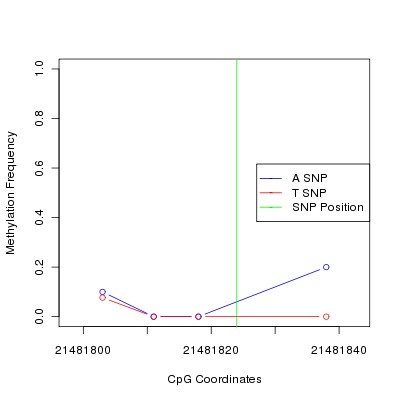 Allele Specific Methylation Frequency Diagram for chr12 21481824 SNP.