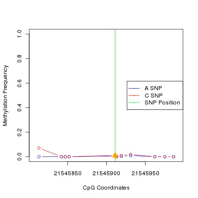 Allele Specific Methylation Frequency Diagram for chr12 21545911 SNP.